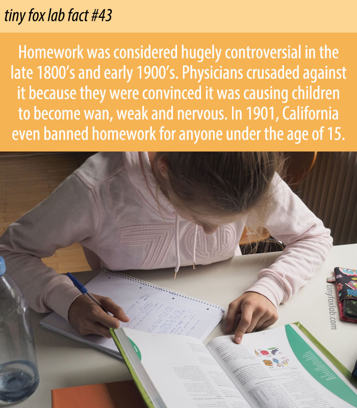 The Case Against Homework
