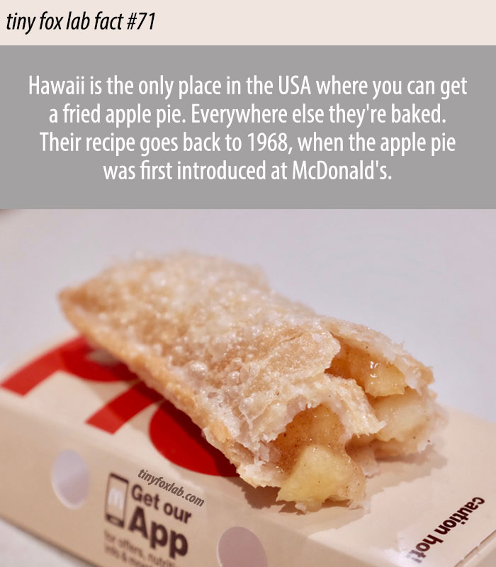 McDonald's Fried Apple Pies