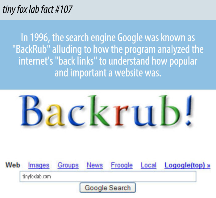 BackRub: Google's Original Name