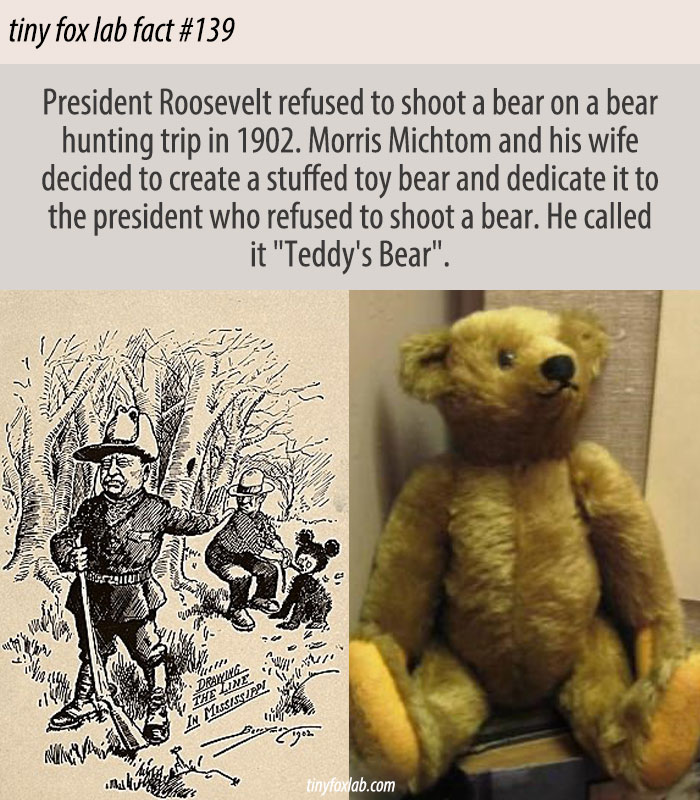 The Story of the Teddy Bear