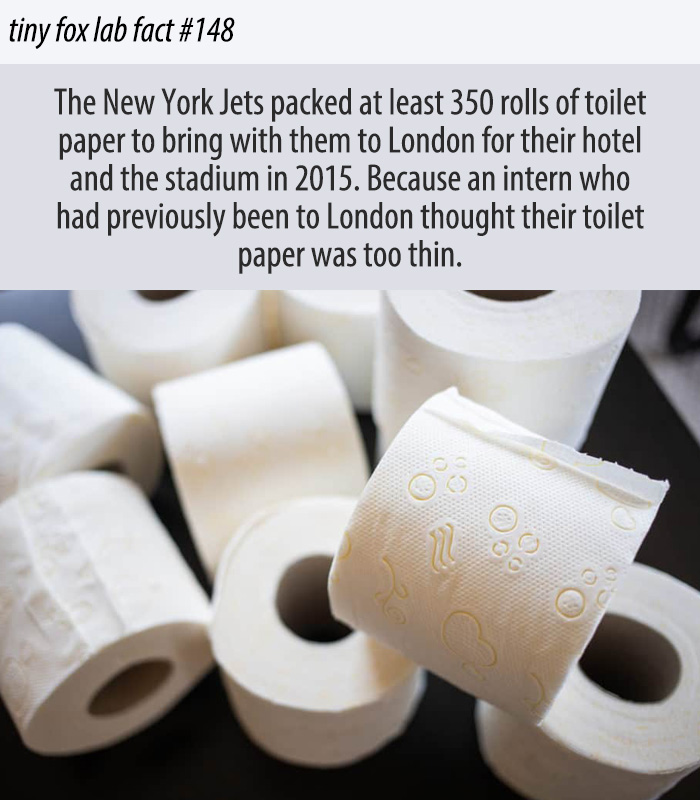 New York Jets Ship Toilet Paper