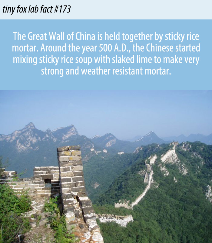 Sticky Rice Porridge and the Great Wall of China