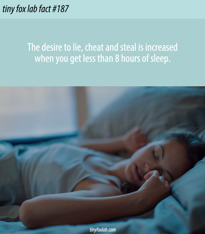 Sleep 8 Hours a Day