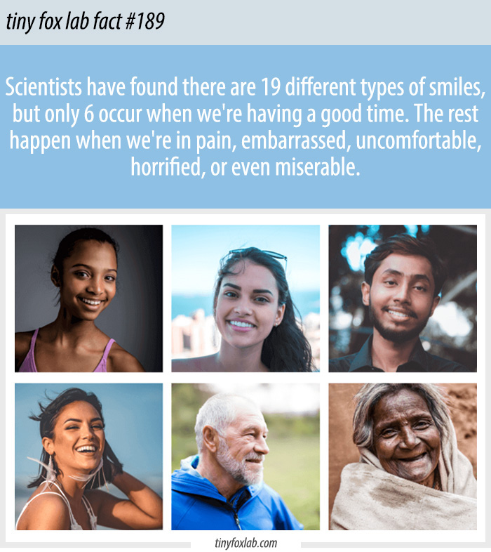 19 Different Smiles