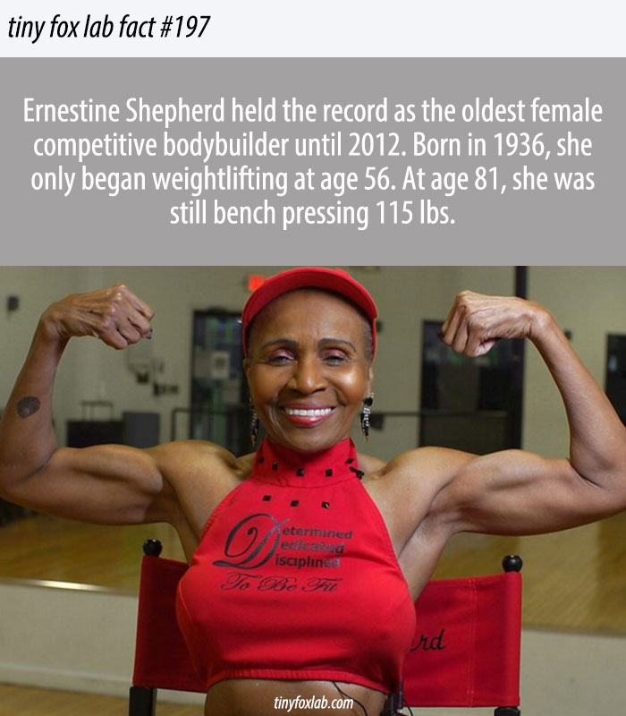 World's Oldest Female Bodybuilder