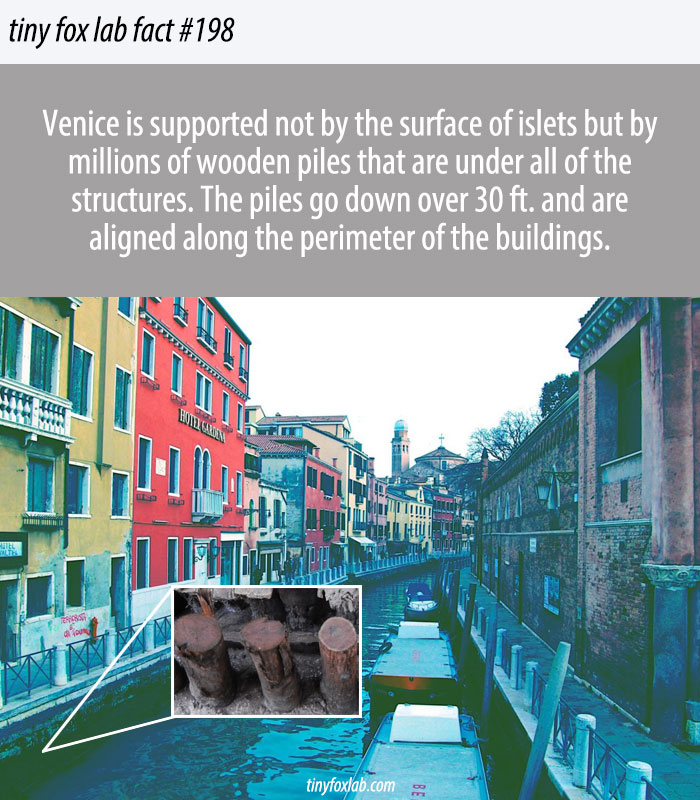 How Venice Was Built?