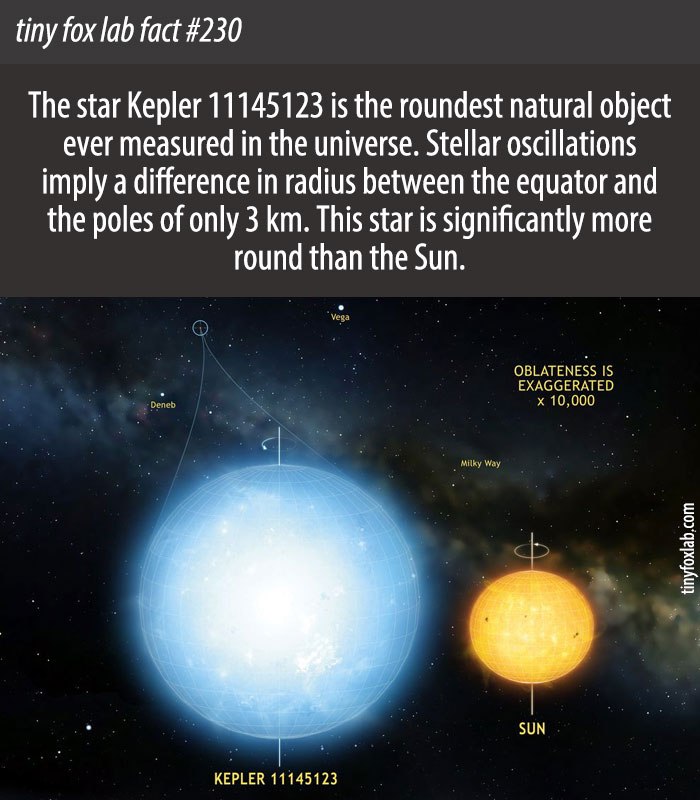 Roundest Natural Object