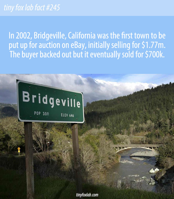 California Town for Sale on eBay