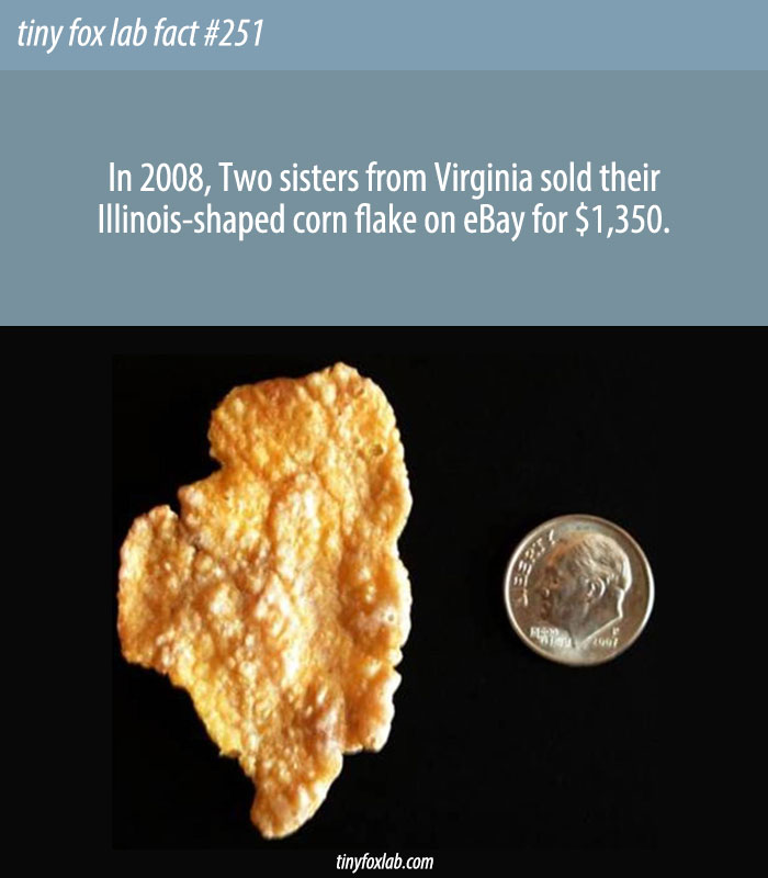 Sisters Sell Illinois-Shaped Cornflake for $1350 on eBay