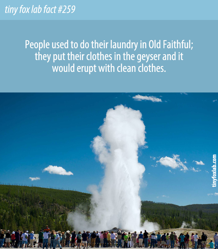 People used to do their laundry in Old Faithful