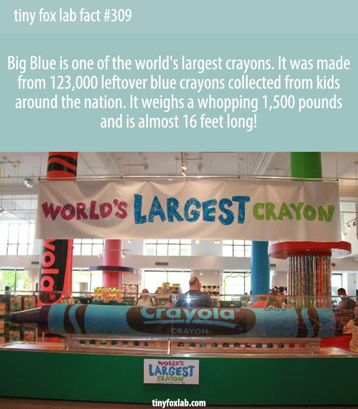 It was made from 123,000 leftover blue crayons collected from kids around the nation. It weighs a whopping 1,500 pounds and is almost 16 feet long!