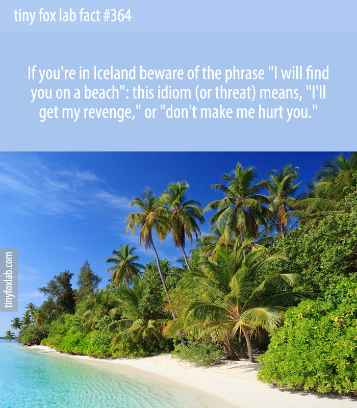 If you're in Iceland beware of the phrase 'I will find you on a beach': this idiom (or threat) means, ' I'll get my revenge,' or 'don't make me hurt you.'