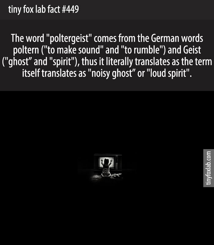 The word 'poltergeist' comes from the German words poltern ('to make sound' and 'to rumble') and Geist ('ghost' and 'spirit'), thus it literally translates as the term itself translates as 'noisy ghost' or 'loud spirit'.