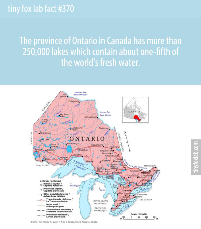 Ontario's more than 250,000 lakes contain about one-fifth of the world's fresh water.