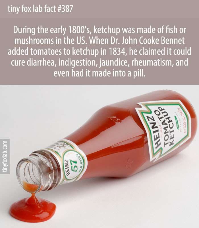 When Dr. John Cooke Bennet added tomatoes to ketchup in 1834, he claimed it could cure Diarrhea, Indigestion, Jaundice, Rheumatism, and even had it made into a pill.