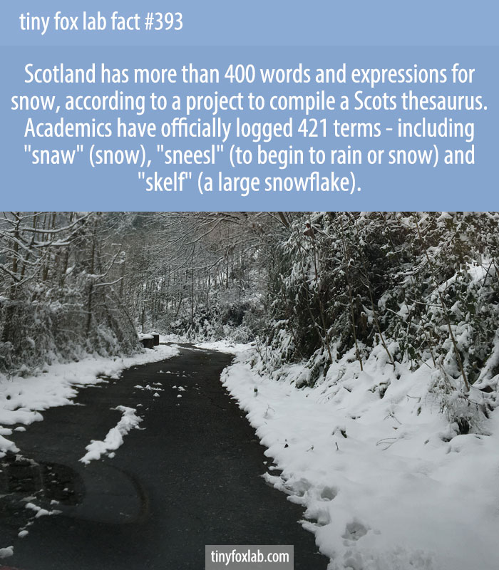 Scotland has more than 400 words or expressions for snow.